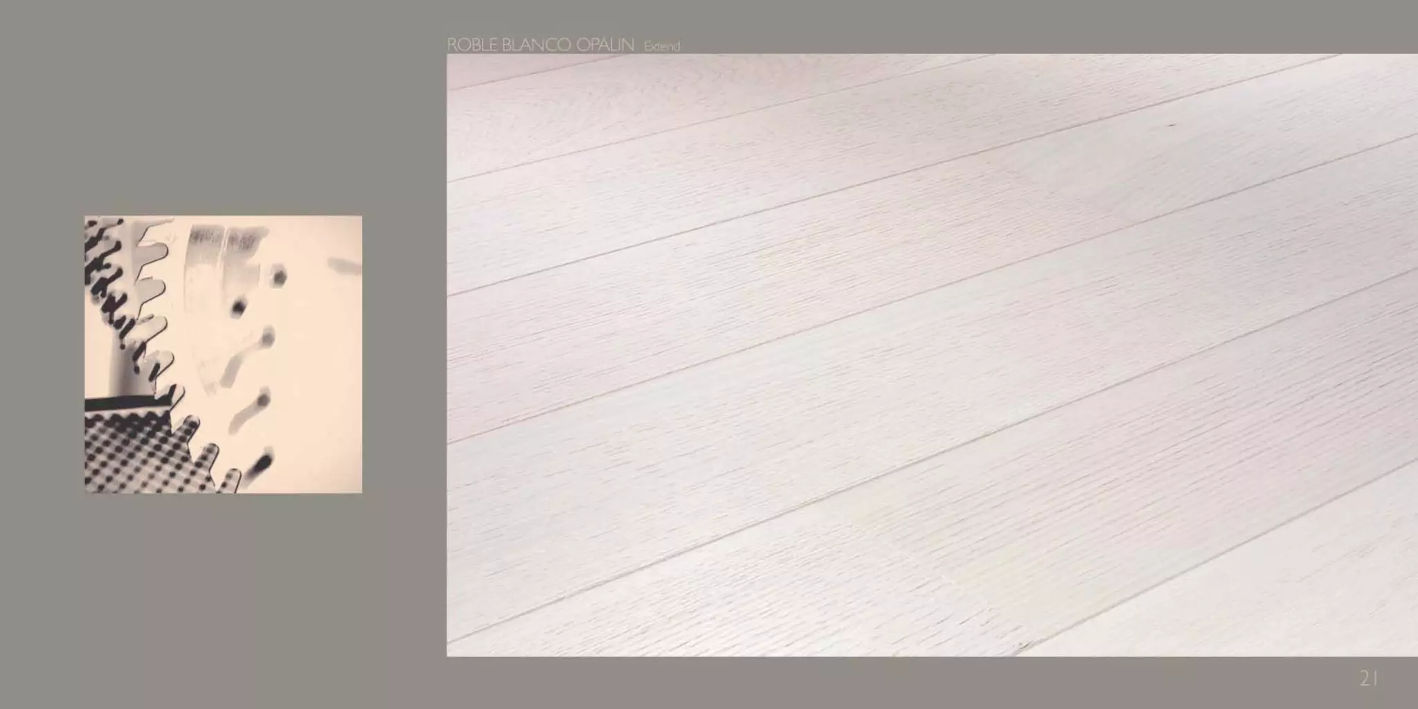 Catálogo Marty Madrid Forest