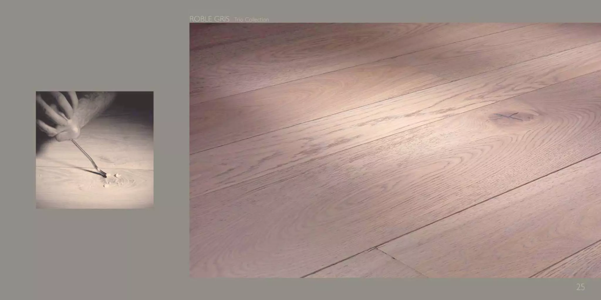 Catálogo Marty Madrid Forest