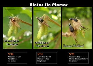 Nº30                Nº31                Nº32
Anzuelos: 16 y 14   Anzuelos: 16 y 14   Anzuelos: 16 y 14
Pelo: Liebre        Pluma: Turkey       Pluma: Bromce Mallard
Sin plomar          Sin plomar          Sin plomar
 