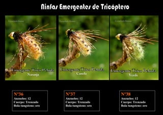 Nº36                  Nº37                  Nº38
Anzuelos: 12          Anzuelos: 12          Anzuelos: 12
Cuerpo: Trenzado      Cuerpo: Trenzado      Cuerpo: Trenzado
Bola tungsteno: oro   Bola tungsteno: oro   Bola tungsteno: oro
 