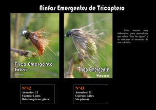 Unas moscas muy
                                        elaboradas para pescadores
                                        que saben “leer las aguas” y
                                        se anticipan al momento de
                                        una eclosión.




Nº42                    Nº43
Anzuelos: 12            Anzuelos: 12
Cuerpo: Látex           Cuerpo: Látex
Bola tungsteno: plata   Sin plomar
 