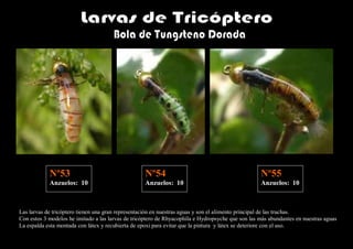 Nº53                                   Nº54                                            Nº55
            Anzuelos: 10                           Anzuelos: 10                                    Anzuelos: 10



Las larvas de tricóptero tienen una gran representación en nuestras aguas y son el alimento principal de las truchas.
Con estos 3 modelos he imitado a las larvas de tricóptero de Rhyacophila e Hydropsyche que son las más abundantes en nuestras aguas
La espalda esta montada con látex y recubierta de epoxi para evitar que la pintura y látex se deteriore con el uso.
 