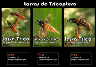 Nº60                      Nº61                      Nº62
Anzuelos: 10              Anzuelos: 10              Anzuelos: 10
Droplet tungsteno: gris   Droplet tungsteno: gris   Droplet tungsteno: gris
 
