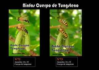 Nº72                  Nº73
Anzuelos: 14 y 12     Anzuelos: 14 y 12
Cuerpo de tungsteno   Cuerpo de tungsteno
 