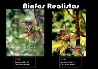 Nº95                Nº96
Anzuelos: 14 y 16   Anzuelos: 14 y 16
Cuerpo sin plomar   Cuerpo sin plomar
 