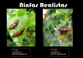 Nº101                   Nº102
Anzuelos: 14            Anzuelos: 14
Bola de tungsteno oro   Bola de tungsteno oro
 