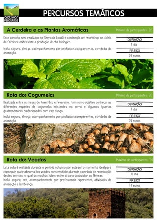 activar
                             PERCURSOS TEMÁTICOS
PERCURSOS


  A Cerdeira e as Plantas Aromáticas                                                 Mínimo de participantes: 20

Este circuito será realizado na Serra da Lousã e contempla um workshop na aldeia             DURAÇÃO
da Cerdeira onde existe a produção de chá biológico.
                                                                                                1 dia
Inclui seguro, almoço, acompanhamento por profissionais experientes, atividades de
animação.
                                                                                              PREÇO
                                                                                              20 euros




  Rota dos Cogumelos                                                                 Mínimo de participantes: 20

Realizada entre os meses de Novembro e Fevereiro, tem como objetivo conhecer as              DURAÇÃO
diferentes espécies de cogumelos existentes na serra e algumas iguarias
gastronómicas confecionadas com este fungo.                                                     1 dia
Inclui seguro, almoço, acompanhamento por profissionais experientes, atividades de            PREÇO
animação.                                                                                     20 euros




  Rota dos Veados                                                                    Máximo de participantes: 14

Esta rota é realizada durante o período noturno por este ser o momento ideal para            DURAÇÃO
conseguir ouvir a brama dos veados, sons emitidos durante o período de reprodução
destes animais no qual os machos lutam entre si para conquistar as fêmeas.                      ½ dia
Inclui seguro, ceia, acompanhamento por profissionais experientes, atividades de              PREÇO
animação e lembrança.                                                                         10 euros
 