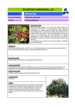 Catálogo de Plantas Canarias