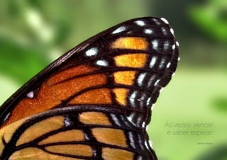 Às vezes, vencer
é saber esperar.
Getúlio Vargas
 