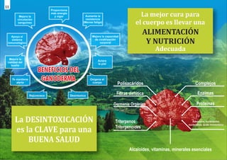 Apoya el
sistema
inmunológico
Mejora la
calidad del
sueño
Te mantiene
alerta
Rejuvenece
Proporciona
más energía
y vigor
Desintoxica
Oxigena el
cuerpo
Aclara
la piel
Mejora la capacidad
de cicatrización
corporal
Aumenta la
resistencia
(Menos fatiga)
BENEFICIOS DEL
BENEFICIOS DEL
GANODERMA
GANODERMA
BENEFICIOS DEL
GANODERMA
La DESINTOXICACIÓN
es la CLAVE para una
BUENA SALUD
La mejor cura para
el cuerpo es llevar una
ALIMENTACIÓN
Y NUTRICIÓN
Adecuada
Polisacáridos
Fibras dietética
Germanio Orgánico
Triterpenos
Triterpenoides
Complejos
Enzimas
Proteínas
Adenosina, nucleósidos,
nucleótidos, ácido rinonucleico
Alcaloides, vitaminas, minerales esenciales
Mejora la
circulación
sanguínea
11
 