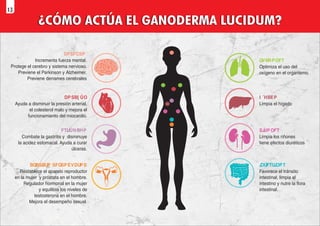 ¿CÓMO ACTÚA EL GANODERMA LUCIDUM?
QVM
NPOFT
Optimiza el uso del
Optimiza el uso del
oxígeno en el organismo.
oxígeno en el organismo.
Optimiza el uso del
oxígeno en el organismo.
DFSFCSP
Incrementa fuerza mental.
Incrementa fuerza mental.
Protege el cerebro y sistema nervioso.
Protege el cerebro y sistema nervioso.
Previene el Parkinson y Alzheimer.
Previene el Parkinson y Alzheimer.
Previene derrames cerebrales
Previene derrames cerebrales
Incrementa fuerza mental.
Protege el cerebro y sistema nervioso.
Previene el Parkinson y Alzheimer.
Previene derrames cerebrales
I ˉHBEP
Limpia el hígado
Limpia el hígado
Limpia el hígado
SJ
ÙPOFT
Limpia los riñones
Limpia los riñones
tiene efectos diuréticos
tiene efectos diuréticos
Limpia los riñones
tiene efectos diuréticos
J
OUFTUJ
OPT
Favorece el tránsito
Favorece el tránsito
intestinal, limpia el
intestinal, limpia el
intestino y nutre la ﬂora
intestino y nutre la ﬂora
intestinal.
intestinal.
Favorece el tránsito
intestinal, limpia el
intestino y nutre la ﬂora
intestinal.
DPSB[ ÛO
Ayuda a disminuir la presión arterial,
Ayuda a disminuir la presión arterial,
el colesterol malo y mejora el
el colesterol malo y mejora el
funcionamiento del miocardio.
funcionamiento del miocardio.
Ayuda a disminuir la presión arterial,
el colesterol malo y mejora el
funcionamiento del miocardio.
FTUÛNBHP
Combate la gastritis y disminuye
Combate la gastritis y disminuye
la acidez estomacal. Ayuda a curar
la acidez estomacal. Ayuda a curar
úlceras.
úlceras.
Combate la gastritis y disminuye
la acidez estomacal. Ayuda a curar
úlceras.
BQBSBUP SFQSPEVDUPS
Restablece el aparato reproductor
Restablece el aparato reproductor
en la mujer y próstata en el hombre.
en la mujer y próstata en el hombre.
Regulador hormonal en la mujer
Regulador hormonal en la mujer
y equilibra los niveles de
y equilibra los niveles de
testosterona en el hombre.
testosterona en el hombre.
Mejora el desempeño sexual.
Mejora el desempeño sexual.
Restablece el aparato reproductor
en la mujer y próstata en el hombre.
Regulador hormonal en la mujer
y equilibra los niveles de
testosterona en el hombre.
Mejora el desempeño sexual.
13
 
