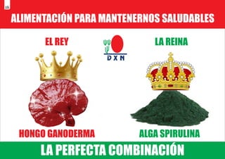 ALIMENTACIÓN PARA MANTENERNOS SALUDABLES
EL REY LA REINA
HONGO GANODERMA ALGA SPIRULINA
LA PERFECTA COMBINACIÓN
16
 