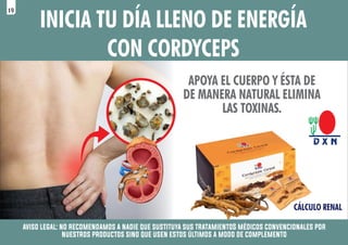 APOYA EL CUERPO Y ÉSTA DE
DE MANERA NATURAL ELIMINA
LAS TOXINAS.
INICIA TU DÍA LLENO DE ENERGÍA
CON CORDYCEPS
CÁLCULO RENAL
aviso legal: no recomendamos a nadie que sustituya sus tratamientoS médicos convencionales por
nuestros productos sino que usen estos últimos a modo de complemento
19
 