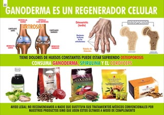 GANODERMA ES UN REGENERADOR CELULAR
TIENE DOLORES DE HUESOS CONSTANTES PUEDE ESTAR SUFRIENDO OSTEOPOROSIS
CONSUMA Y EL
GANODERMA,
GANODERMA, SPIRULINA
SPIRULINA CORDYCEPS
CORDYCEPS
CONSUMA Y EL
GANODERMA, SPIRULINA CORDYCEPS
ARTROSIS?
ARTROSIS?
ARTROSIS?
OSTEOPOROSIS
RODILLA
SANA
RODILLA
CON ARTROSIS Osteoartritis
(tardía)
CARTÍLAGO
SANO
MENISCOS
SANOS
MENISCOS
DAÑADOS
CARTÍLAGO
DAÑADO
Hinchazón
fusiforme
de las
articulaciones
Nódulos de
Heberden
aviso legal: no recomendamos a nadie que sustituya sus tratamientoS médicos convencionales por
nuestros productos sino que usen estos últimos a modo de complemento
22
 