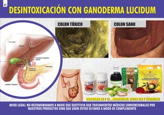 COLON TÓXICO COLON SANO
aviso legal: no recomendamos a nadie que sustituya sus tratamientos médicos convencionales por
nuestros productos sino que usen estos últimos a modo de complemento
DESINTOXICACIÓN CON GANODERMA LUCIDUM
CONSUMA RG / GL. , MORINZYME, SPICA TEA Y SPIRULINA
30
 