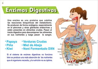 Una enzima es una proteína que cataliza
las reacciones bioquímicas del metabolismo.
Se producen de forma endógena, especialmente
en el páncreas y otras glándulas endocrinas y
están presentes en alimentos crudos. Pasan al
tracto digestivo para descomponer los alimentos
en sus nutrientes y luego pasan la sangre.
Papaya
Piña
Kiwi
Verduras Crudas
Miel de Abeja
Noni Fermentado DXN
Si el sistema de enzimas digestivas no funciona
bien se produce una mala absorción de los nutrientes
que el organismo necesita, y la nutrición no es óptima.
Enzimas Digestivas
4
 