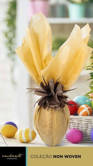 COLEÇÃO NON WOVEN
 