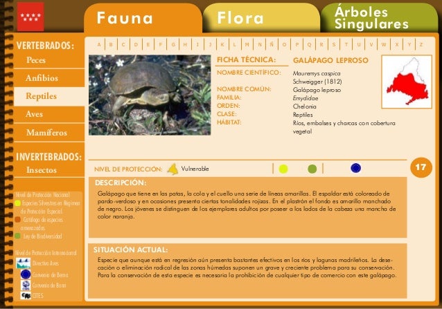 Catálogo de especies amenazadas y de arboles singulaes de la Comunida…