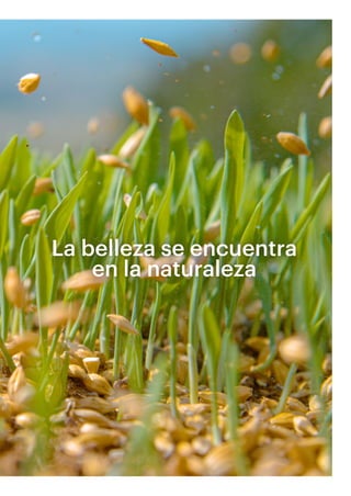 La belleza se encuentra
en la naturaleza
 