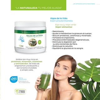 3
...en armonía con la naturaleza.
»CUERPOENEQUILIBRIO
Algas de la Vida
Espirulina  Chlorella
Alga azul y alga verde
¡Súper alimentos!
Ambos son muy ricos en
proteínas, minerales, vitaminas
y aminoácidos. Se trata de
organismos unicelulares y
por lo tanto invisibles
a simple vista.
• Desintoxica.
• Ayuda a metabolizar la grasa en el cuerpo.
• Rica en proteínas, vitaminas y minerales.
• Fortalece el organismo.
• Previene enfermedades degenerativas.
• Estimula la digestión por
su alto contenido de fibra.
• Disminuye la celulitis.
• Equilibra la glucosa en la sangre.
“LA NATURALEZA TU MEJOR ALIADA”
*Este producto no
es un medicamento.
250 g
Clave S701$265MXN
 