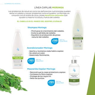 86
La belleza a tu alcance...
»CUIDADODELCABELLO
Shampoo Moringa
Acondicionador Moringa
Mascarilla Capilar Moringa
LÍNEA CAPILAR MORINGA
Los problemas de salud así como las deficiencias nutricionales pueden
dañar el cabello y causar problemas como el quiebre. La Moringa, en
conjunto con el aceite de oliva, posee beneficios naturales que
ayudan a mejorar la salud y fuerza del cabello.
EL CABELLO ES EL MARCO DEL ROSTRO ¡CUÍDALO!
• Promueve el crecimiento del cabello.
• Evita la pérdida de cabello.
• Equilibra la producción de grasa
natural del cabello.
• Aporta y revitaliza cada hebra capilar.
• No altera el color.
• Desenreda fácilmente.
• Reconstruye la capa protectora capilar.
• Fortalece la fibra capilar.
• Protege de los rayos UV.
• Sella las puntas.
340 mL
Clave S630$199MXN
340 mL
Clave S631$165MXN
250 mL
Clave S620$195MXN
 