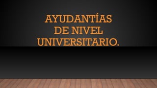 AYUDANTÍAS
DE NIVEL
UNIVERSITARIO.
 