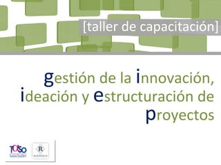 Página 1
innovación, ideación y estructuración de proyectos
gestión de la innovación,
ideación y estructuración de
proyectos
[taller de capacitación]
 