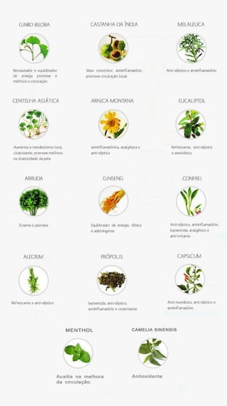 Catálogo up! essencia