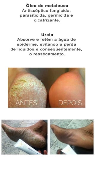 Catálogo up! essencia