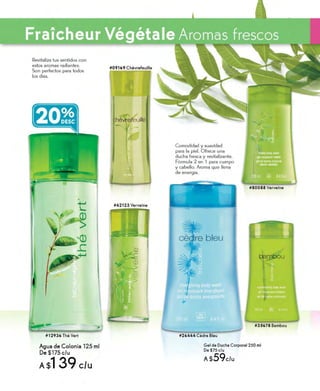 Catálogo Yves Rocher Campaña 17 2014