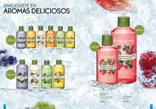 Catálogo yves rocher campaña 8, 2017