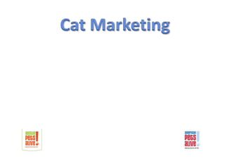 Cat Marketing
 