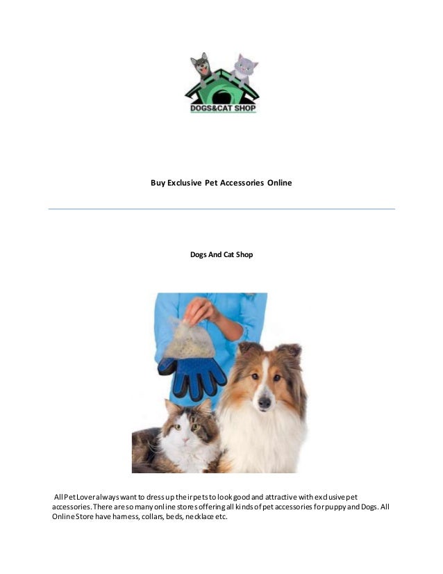 dogs accessories online shopping
