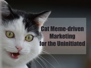 Cat Meme-driven Marketing for the Uninitiated