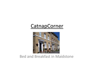 CatnapCorner




Bed and Breakfast in Maidstone
 