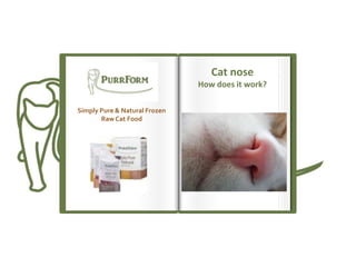 Cat nose
How does it work?
Simply Pure & Natural Frozen
Raw Cat Food

 