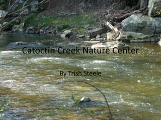 Catoctin Creek Nature Center

        By Trish Steele
 