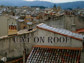 Cat on roof (v.m.)
