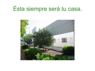 Ésta siempre será tu casa.