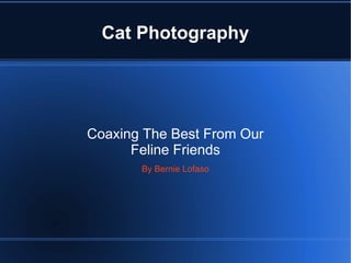 Cat Photography
Coaxing The Best From Our
Feline Friends
By Bernie Lofaso
 