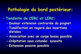Pathologie du bord postérieur:Pathologie du bord postérieur:
• Tendinite de CERC et LERCTendinite de CERC et LERC::
– Douleur extension contrariée du poignetDouleur extension contrariée du poignet
– Tuméfaction en regard des insertionsTuméfaction en regard des insertions
distalesdistales
– Association avec un carpe bossu possibleAssociation avec un carpe bossu possible
– Crépitation sous cutanée: synoviteCrépitation sous cutanée: synovite
– Extension passive possibleExtension passive possible
 
