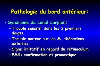 Pathologie du bord antérieur:Pathologie du bord antérieur:
• Syndrome du canal carpien:Syndrome du canal carpien:
– Trouble sensitif dans les 3 premiersTrouble sensitif dans les 3 premiers
doigtsdoigts
– Trouble moteur sur les M. thénariensTrouble moteur sur les M. thénariens
externesexternes
– Signe irritatif en regard du rétinaculumSigne irritatif en regard du rétinaculum
– EMG: confirmation et pronostiqueEMG: confirmation et pronostique
 