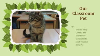 Our
Classroom
Pet
By:

Kristina Tolley
Carmela Heal
Katie Weber
Chelsea Griffin

Sarah Teichmer
Alicia Poe

 