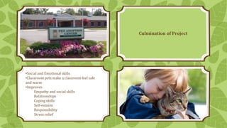 Culmination of Project

•Social and Emotional skills
•Classroom pets make a classroom feel safe
and warm
•Improves
Empathy and social skills
Relationships
Coping skills
Self-esteem
Responsibility
Stress relief

 