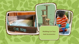 Building Cat Toys
And Accessories

 