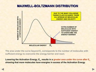 The area under the curve beyond Ea corresponds to the number of molecules with
sufficient energy to overcome the energy barrier and react.
Lowering the Activation Energy, Ea, results in a greater area under the curve after Ea
showing that more molecules have energies in excess of the Activation Energy
Ea
EXTRA NUMBER OF
MOLECULES WITH
SUFFICIENT ENERGY
TO OVERCOME THE
ENERGY BARRIER
MAXWELL-BOLTZMANN DISTRIBUTIONMAXWELL-BOLTZMANN DISTRIBUTION
NUMBEROFMOLECUESWITH
APARTICULARENERGY
MOLECULAR ENERGY
DUE TO THE MANY COLLISONS
TAKING PLACE IN GASES, THERE
IS A SPREAD OF MOLECULAR
ENERGY AND VELOCITY
DUE TO THE MANY COLLISONS
TAKING PLACE IN GASES, THERE
IS A SPREAD OF MOLECULAR
ENERGY AND VELOCITY
 