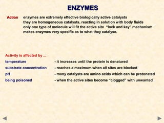 Activity is affected by ...
temperature - it increases until the protein is denatured
substrate concentration - reaches a maximum when all sites are blocked
pH - many catalysts are amino acids which can be protonated
being poisoned - when the active sites become “clogged” with unwanted
ENZYMESENZYMES
ActionAction enzymes are extremely effective biologically active catalysts
they are homogeneous catalysts, reacting in solution with body fluids
only one type of molecule will fit the active site “lock and key” mechanism
makes enzymes very specific as to what they catalyse.
 
