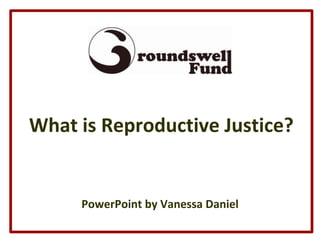 What is Reproductive Justice? PowerPoint by Vanessa Daniel 