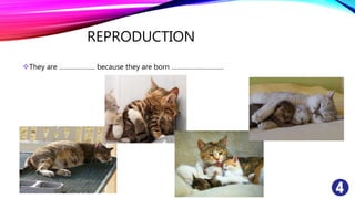 REPRODUCTION
They are ……………….. because they are born ………………………..
 