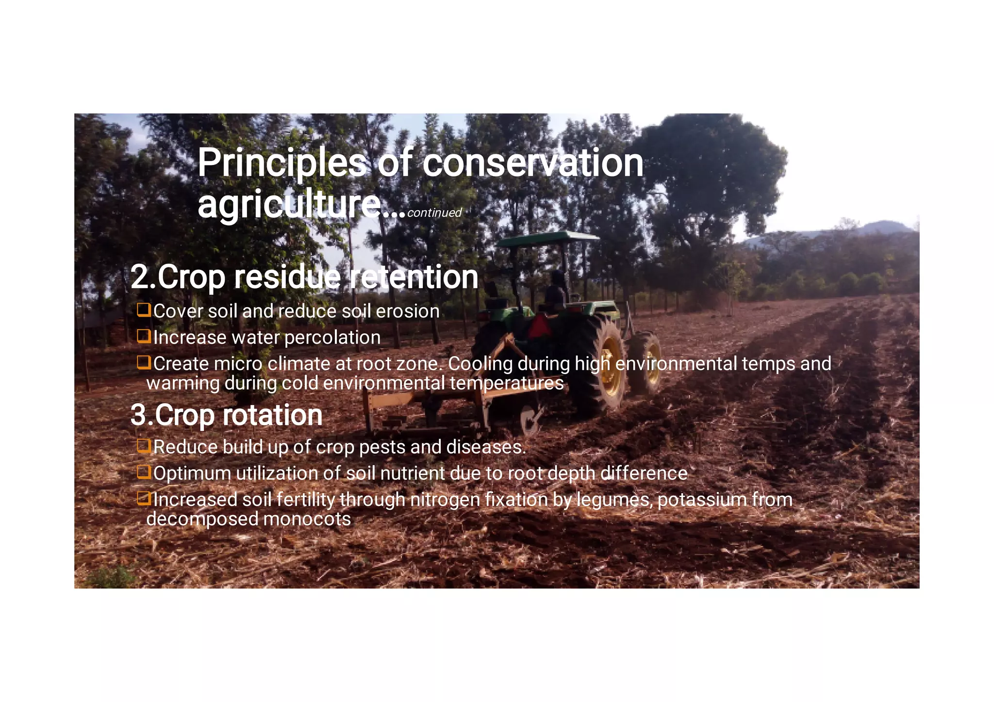 Training manual for maize production under conservation agriculture | PDF